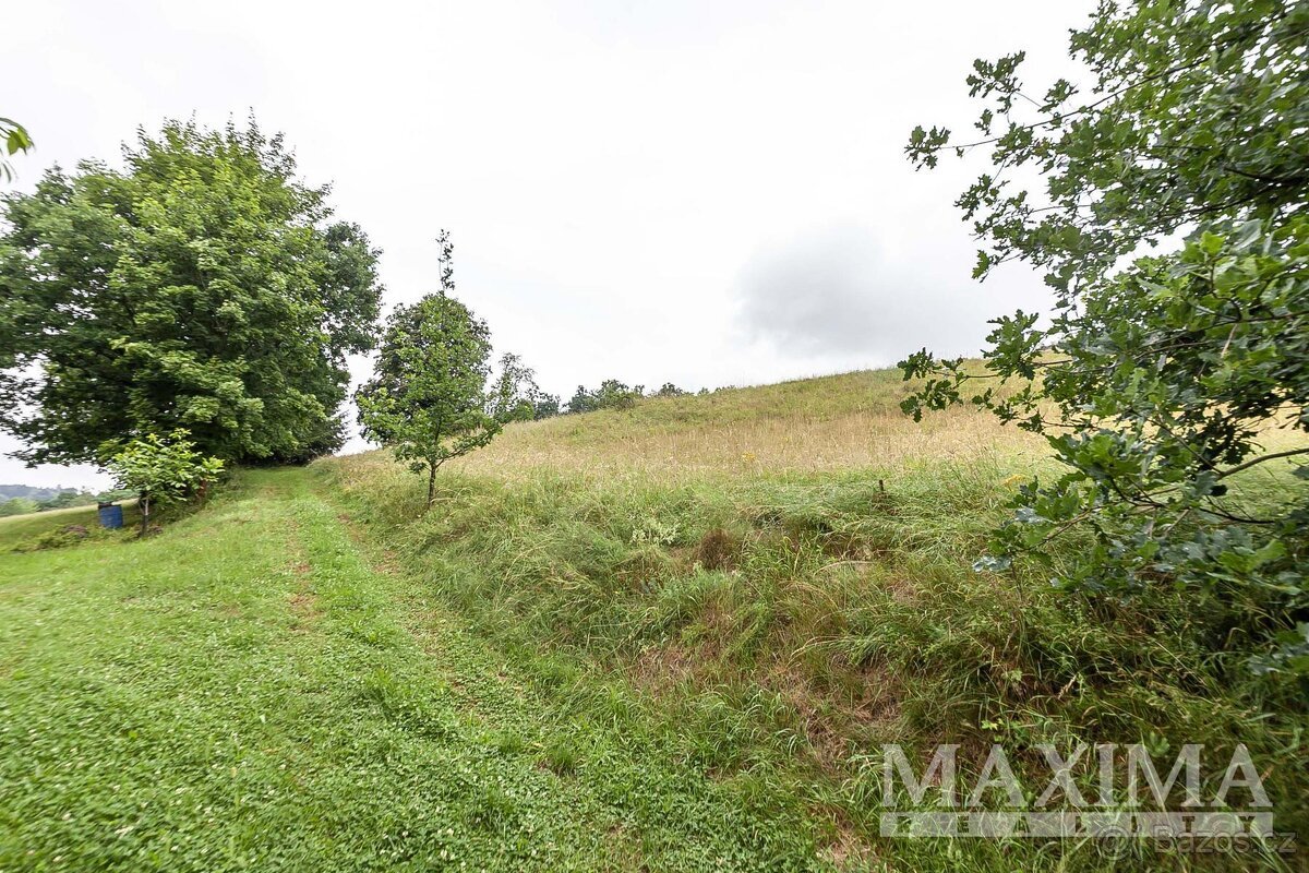 Pozemek  o ploše 4517 m2 - Slaná, Bořkov