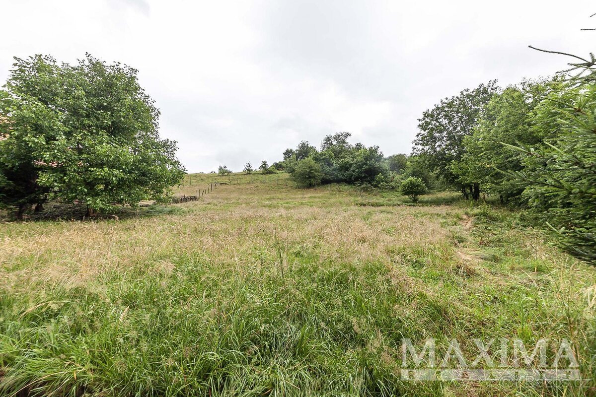 Pozemek  o ploše 4517 m2 - Slaná, Bořkov