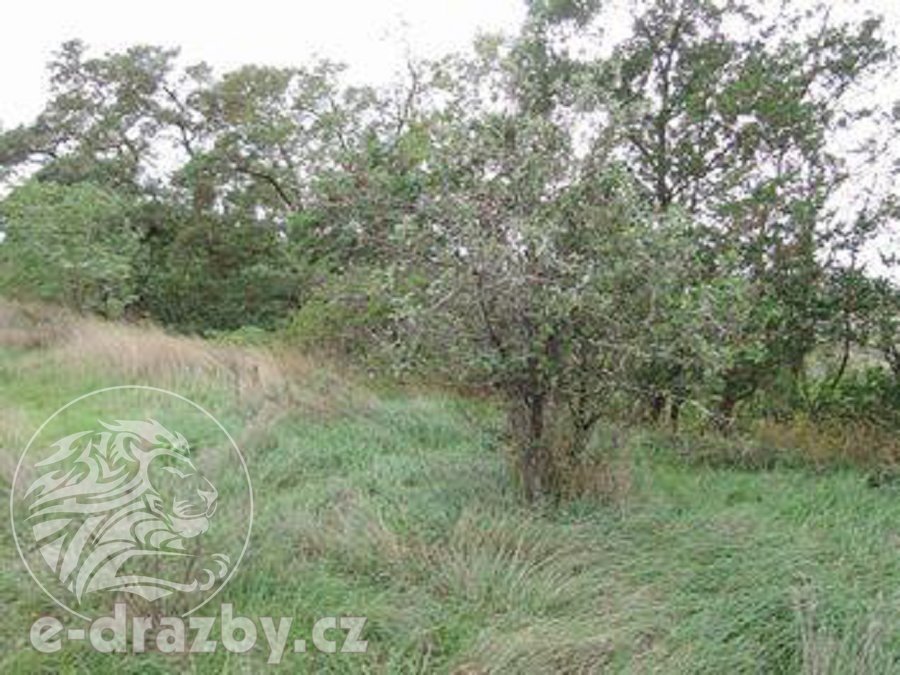 Soubor 11 pozemků o 264.996 m2, k.ú. Velichov u Žatce, okres
