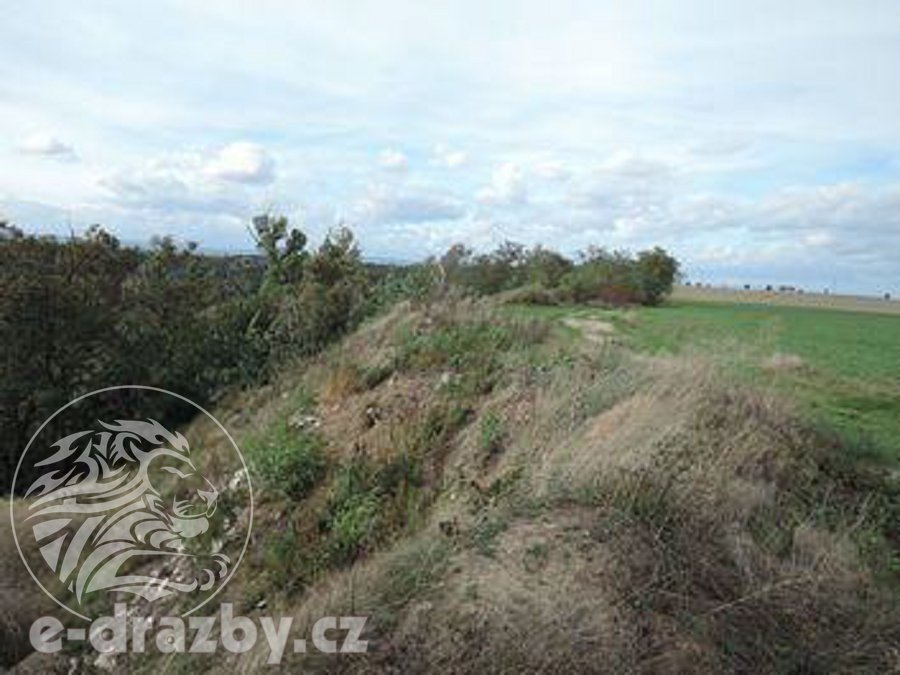 Soubor 11 pozemků o 264.996 m2, k.ú. Velichov u Žatce, okres