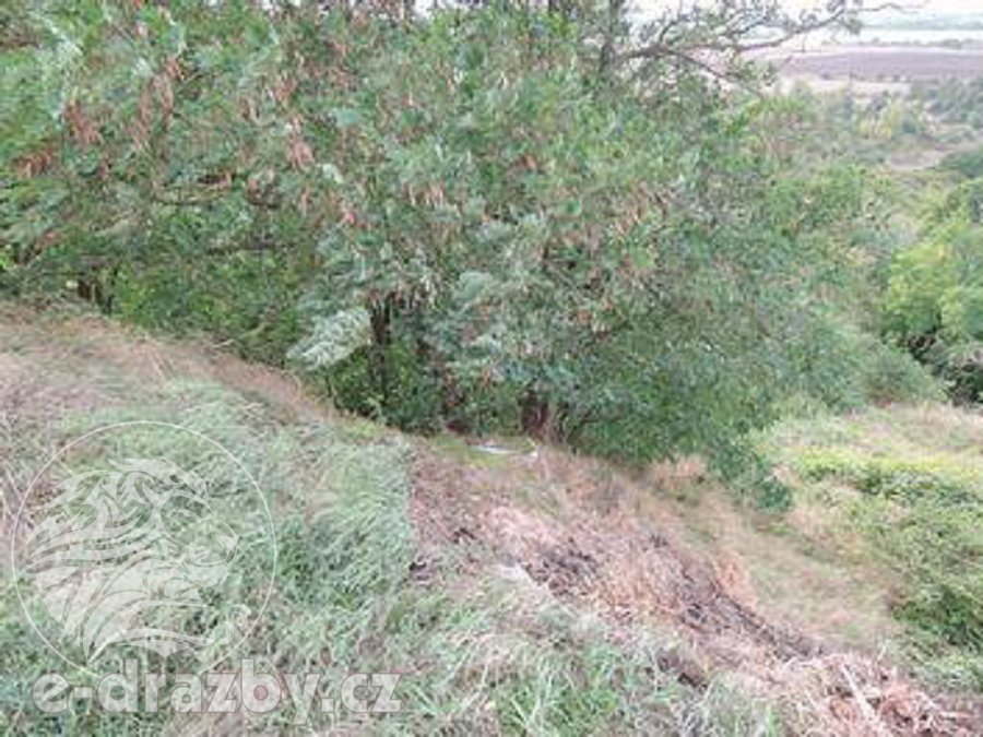 Soubor 11 pozemků o 264.996 m2, k.ú. Velichov u Žatce, okres