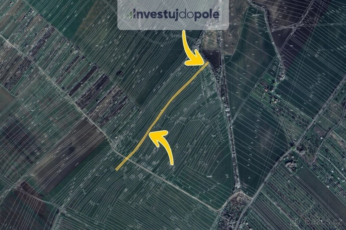 Prodej sadu / vinice 2 323 m², Strážnice