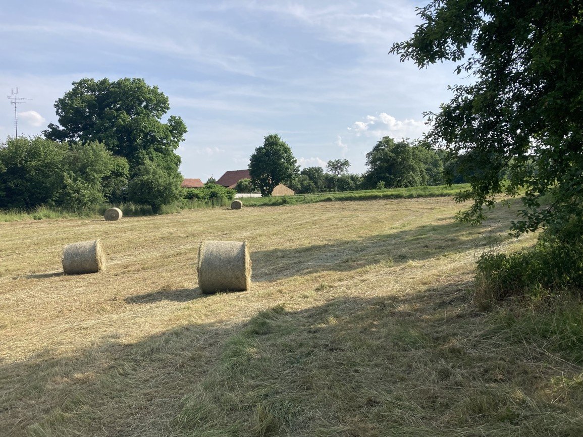 Stavební pozemek 7 544 m² – možnost 4 parcel, 980 Kč/m2