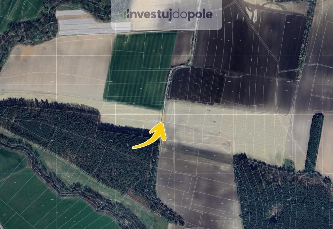 Prodej louky 3 589 m², Čelákovice - Sedlčánky