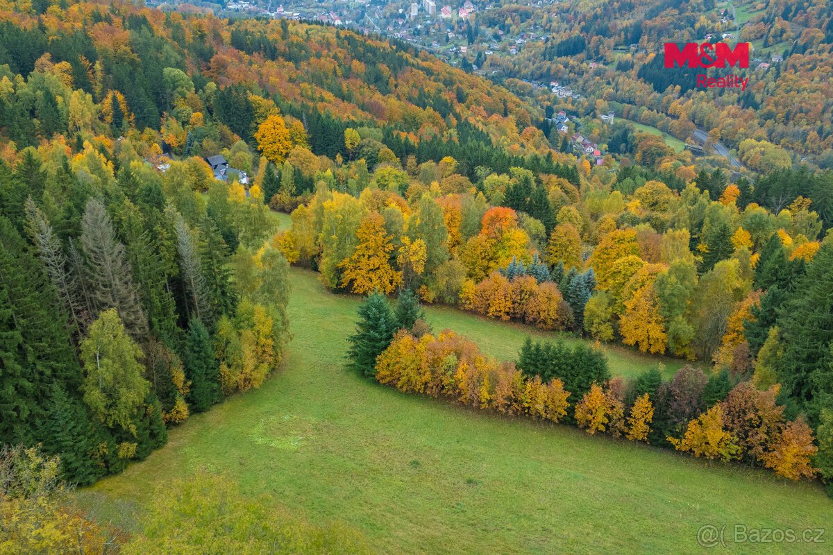 Prodej louky, 2029 m², Tanvald