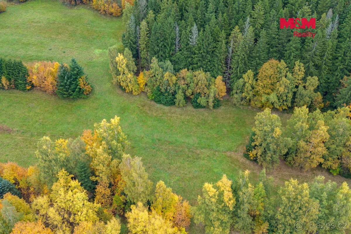 Prodej louky, 2029 m², Tanvald
