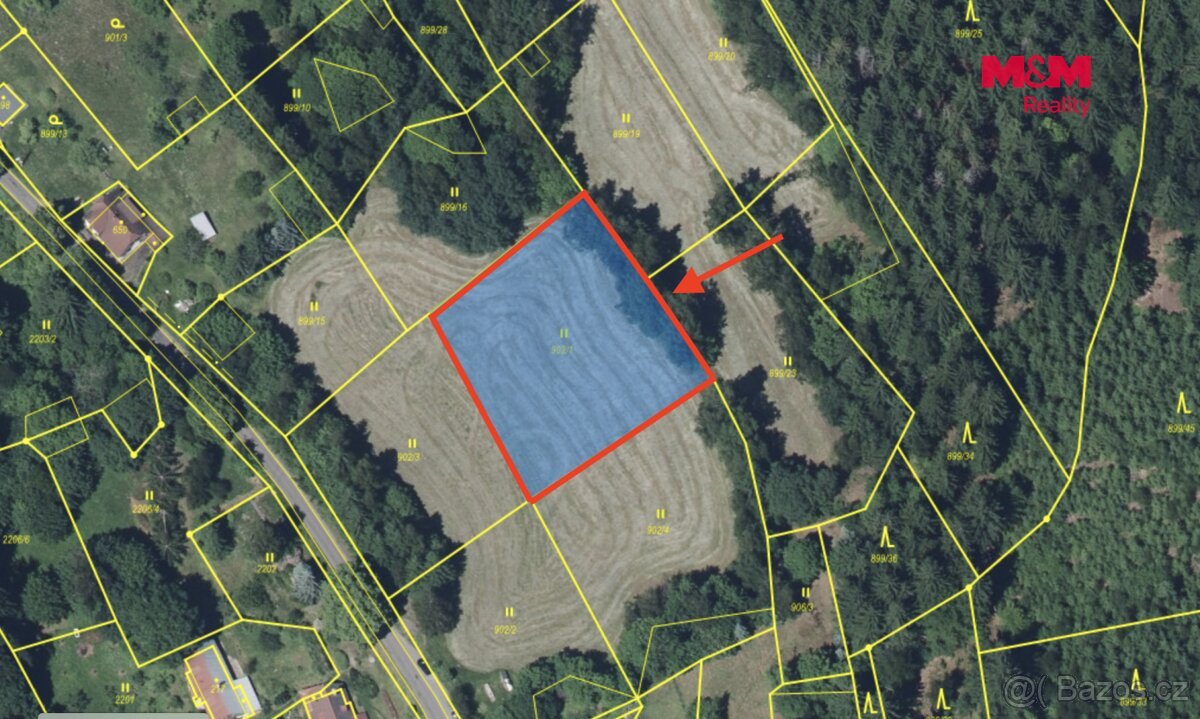 Prodej louky, 2029 m², Tanvald