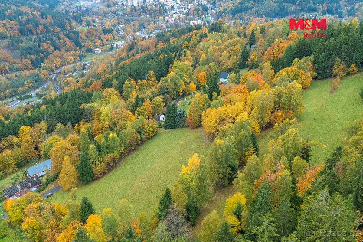 Prodej louky, 2029 m², Tanvald