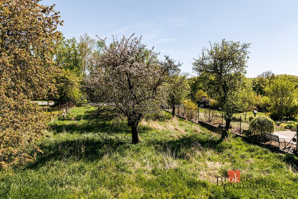 Prodej, pozemky/bydlení, 996 m2, Čáslavice, Třebíč [ID 84926