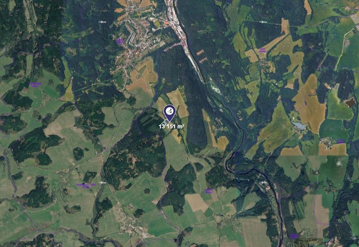 Prodej podílu 1/3 pole 4 384 m², Větřní