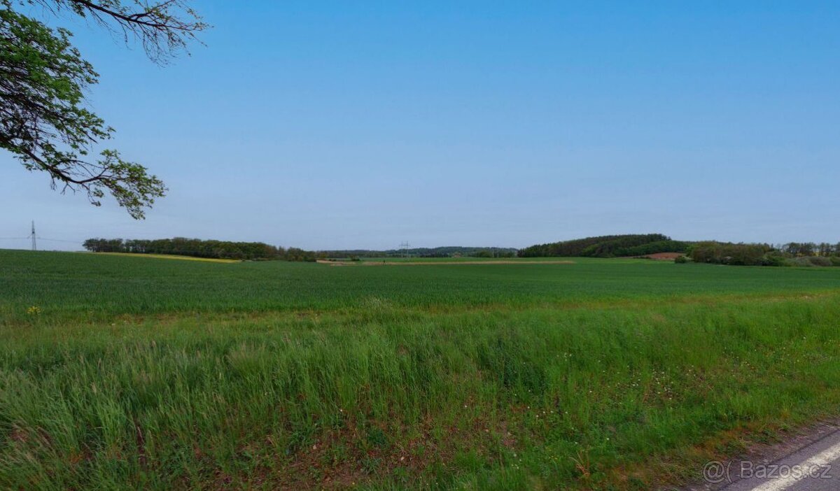 Zemědělská půda, prodej, Očelice, Rychnov nad Kněžnou