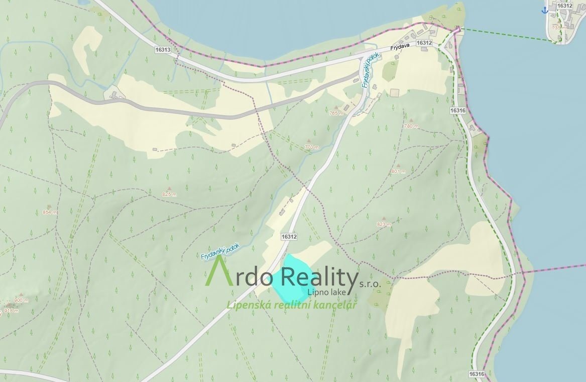Prodej louky o celkové výměře 23 943 m2 nedaleko Frýdavy