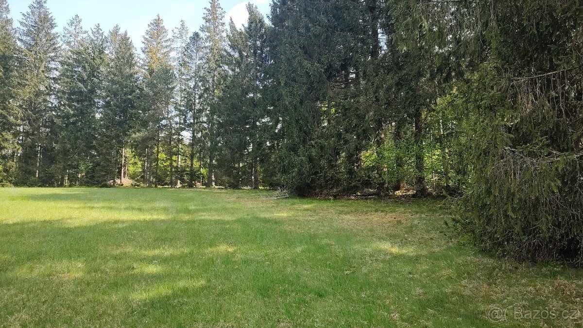 Prodej louky o celkové výměře 23 943 m2 nedaleko Frýdavy