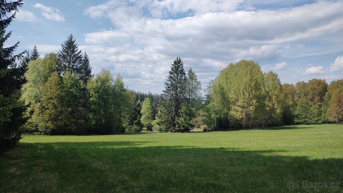 Prodej louky o celkové výměře 23 943 m2 nedaleko Frýdavy
