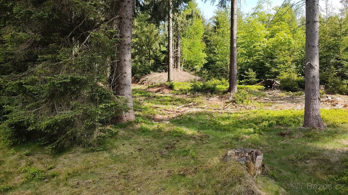 Prodej louky o celkové výměře 23 943 m2 nedaleko Frýdavy