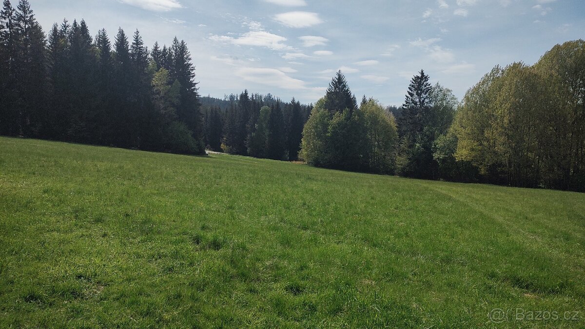 Prodej louky o celkové výměře 23 943 m2 nedaleko Frýdavy