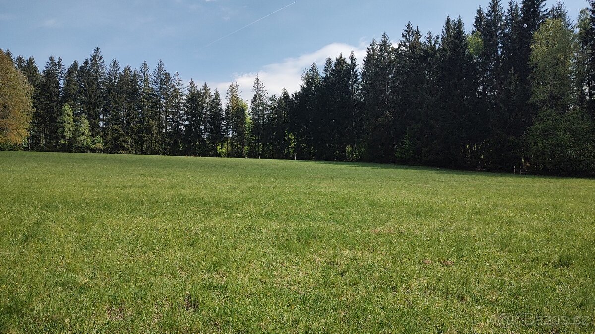 Prodej louky o celkové výměře 23 943 m2 nedaleko Frýdavy