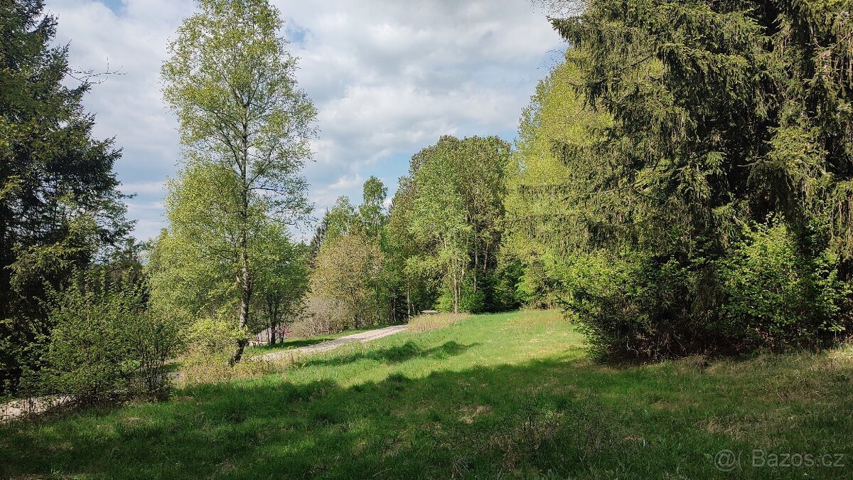 Prodej louky o celkové výměře 23 943 m2 nedaleko Frýdavy