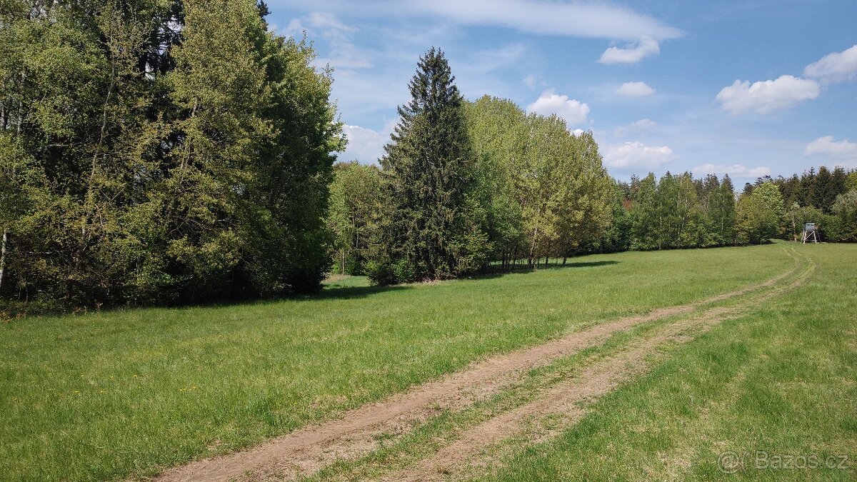 Prodej louky o celkové výměře 23 943 m2 nedaleko Frýdavy