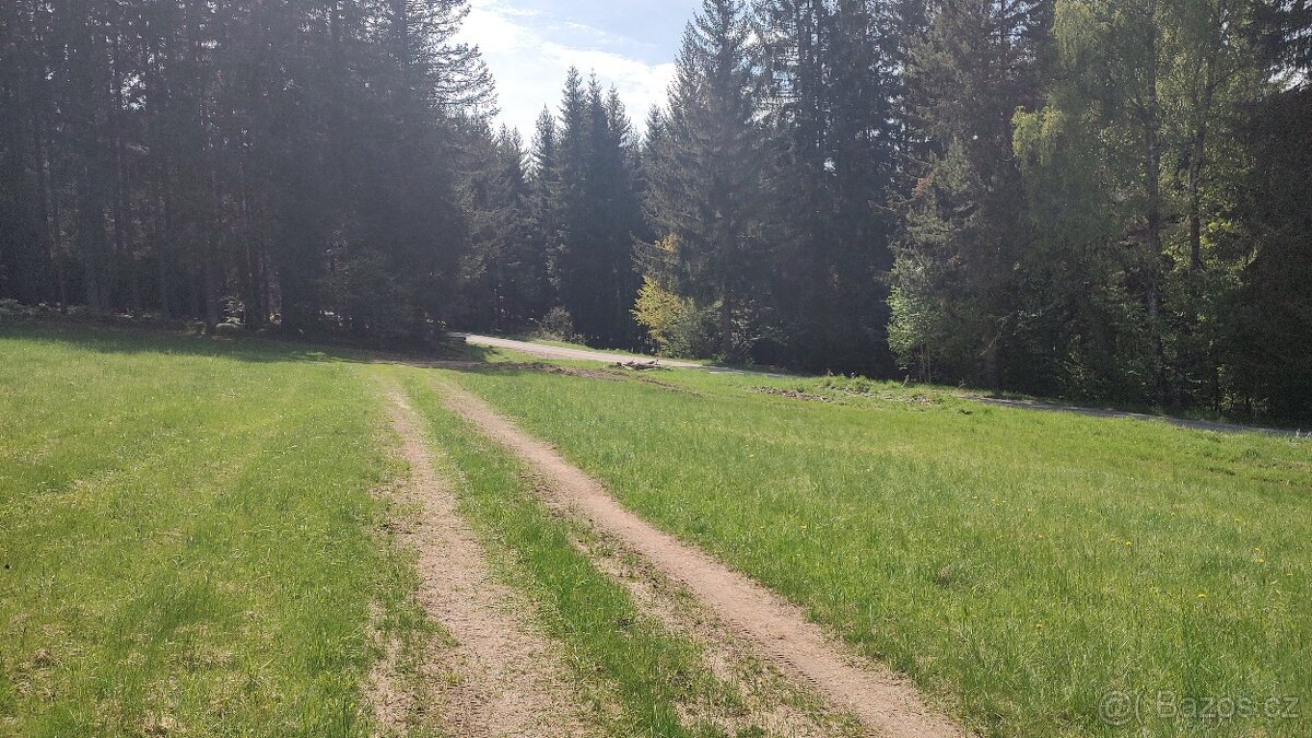 Prodej louky o celkové výměře 23 943 m2 nedaleko Frýdavy