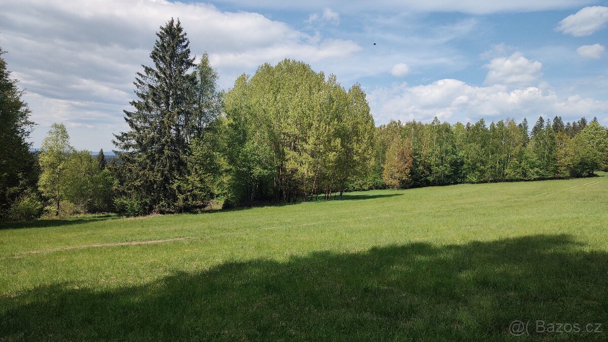 Prodej louky o celkové výměře 23 943 m2 nedaleko Frýdavy