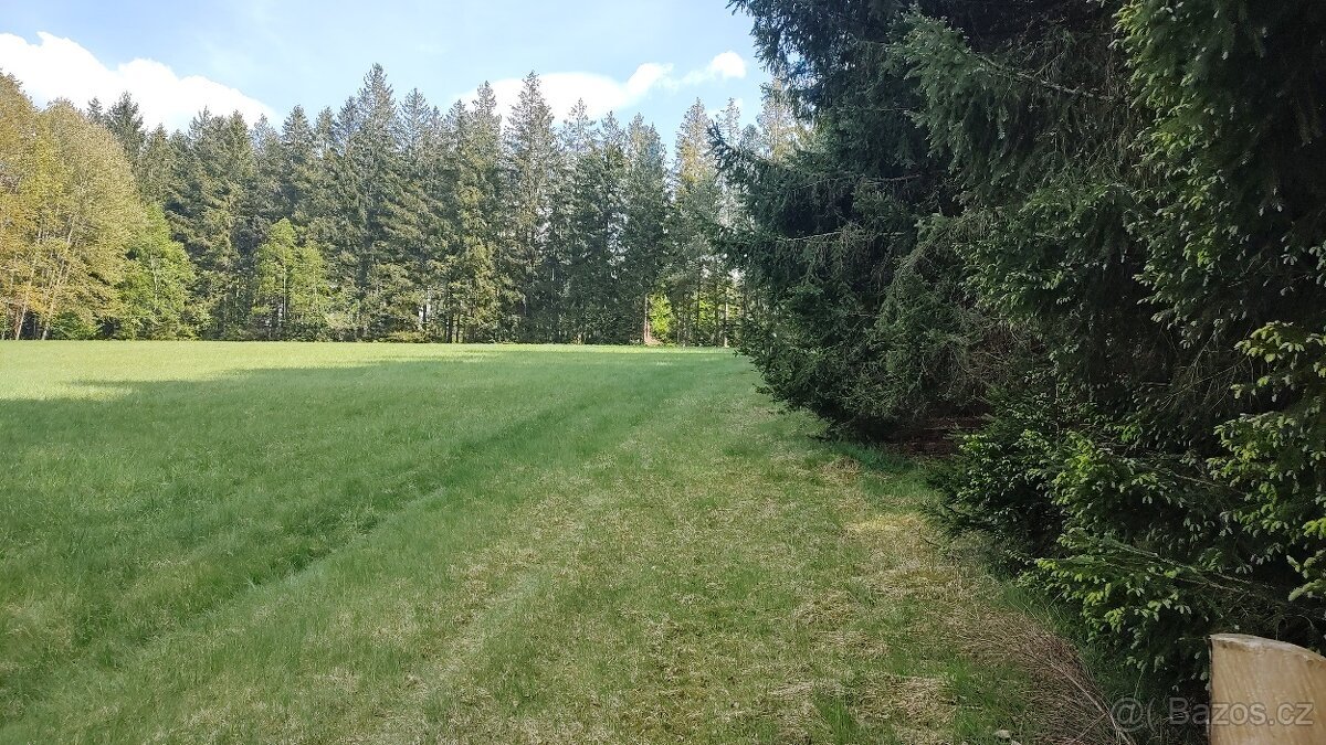 Prodej louky o celkové výměře 23 943 m2 nedaleko Frýdavy