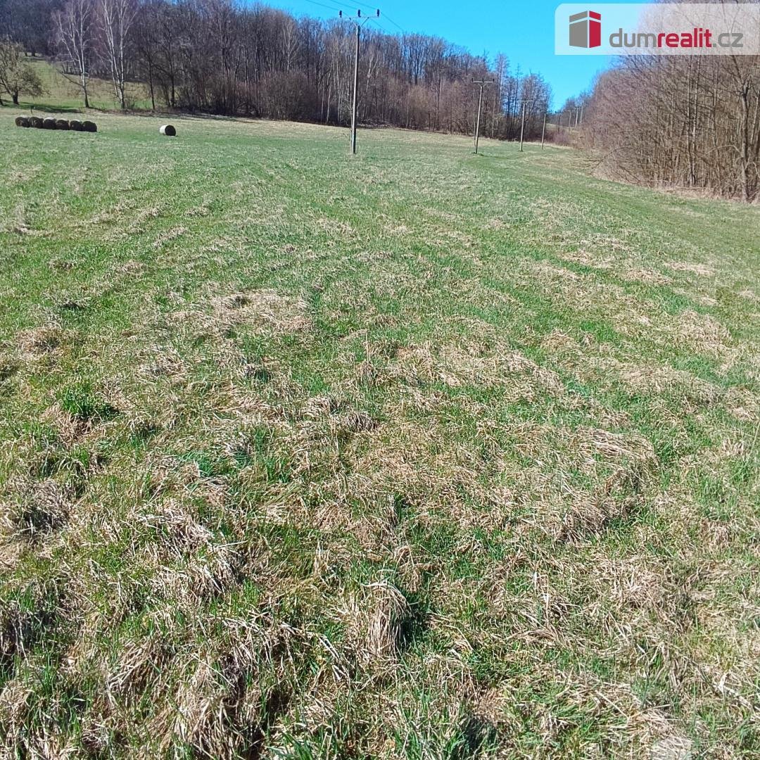 Prodej pozemku o rozloze 4050 m2 určeného k zastavění, Fojto