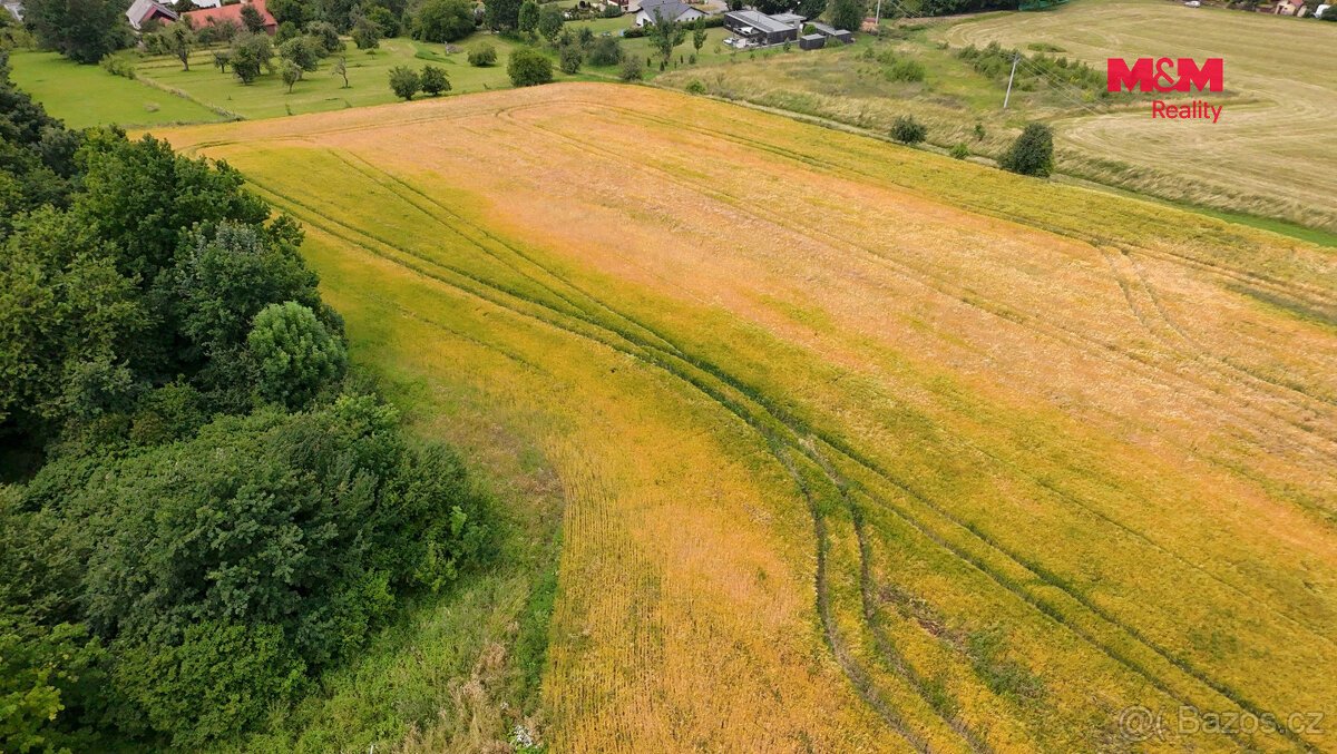 Prodej pozemku k bydlení, 10421 m², Nový Jičín