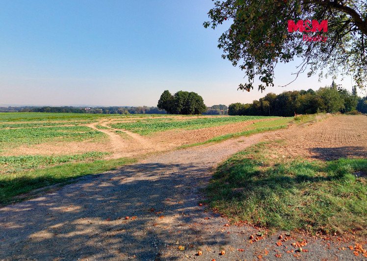 Prodej pole, 1134 m², Bartošovice
