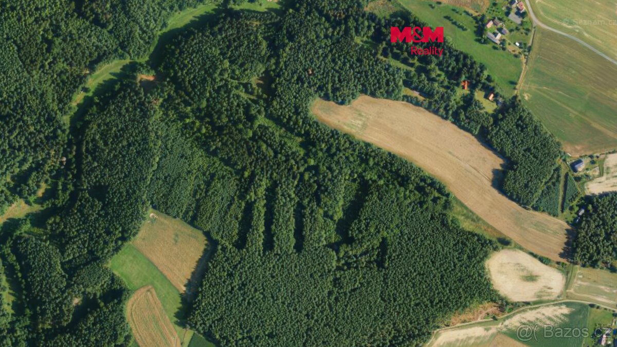 Prodej lesa, 23199 m², Všelibice