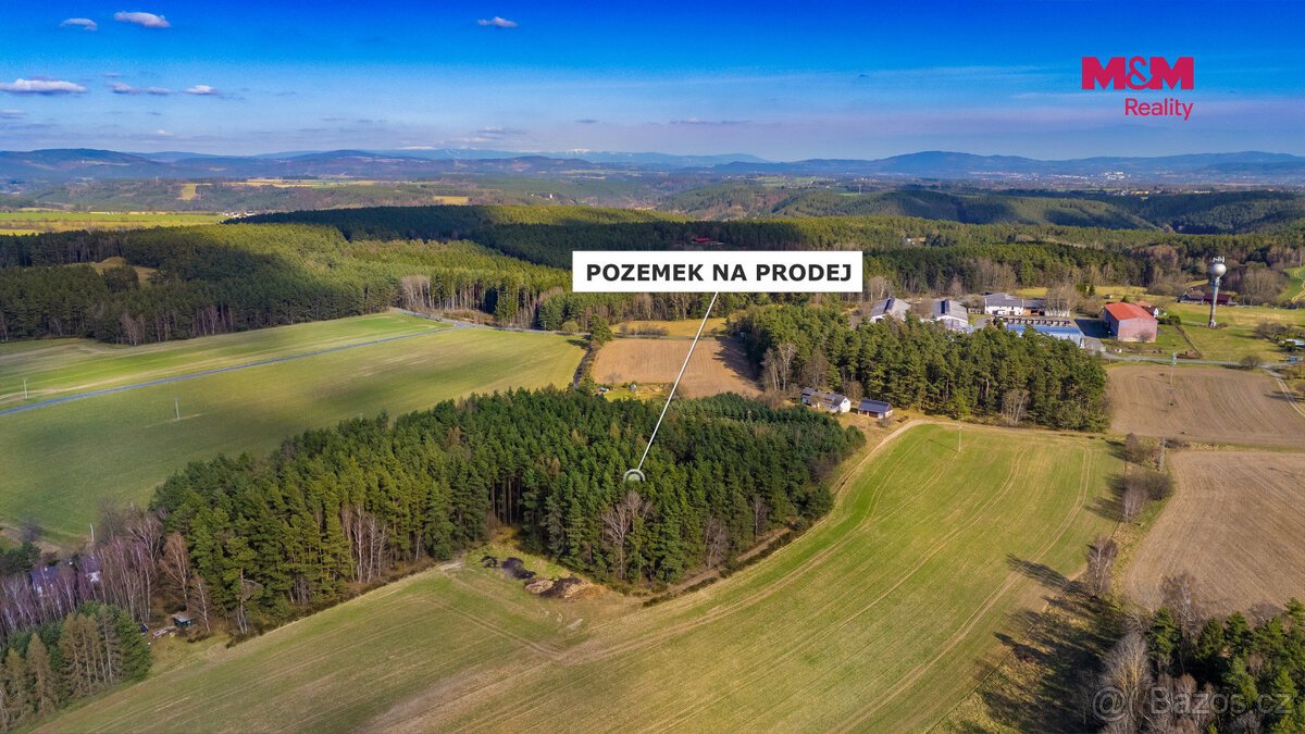 Prodej lesa, 23199 m², Všelibice