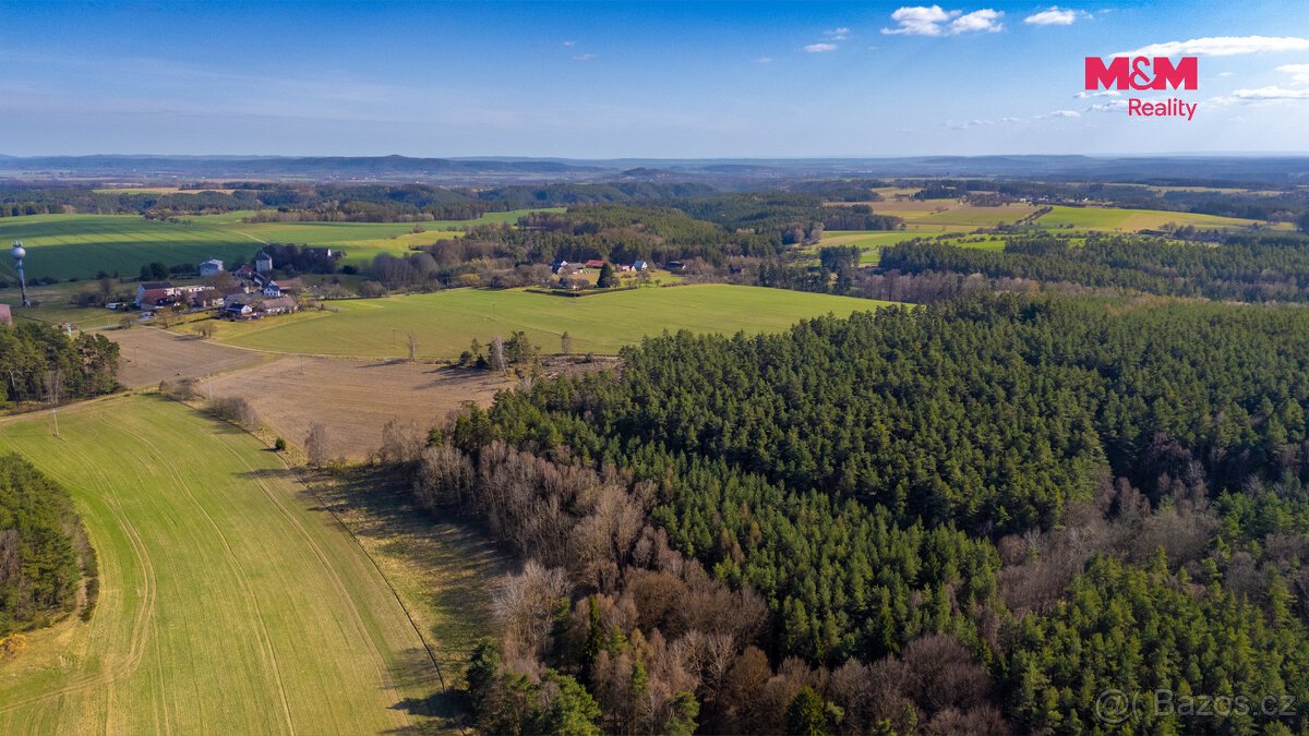 Prodej lesa, 23199 m², Všelibice
