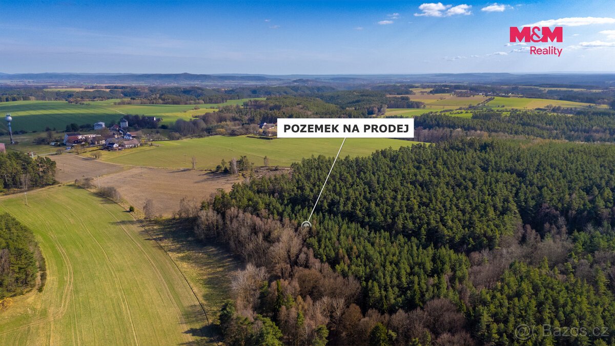 Prodej lesa, 23199 m², Všelibice