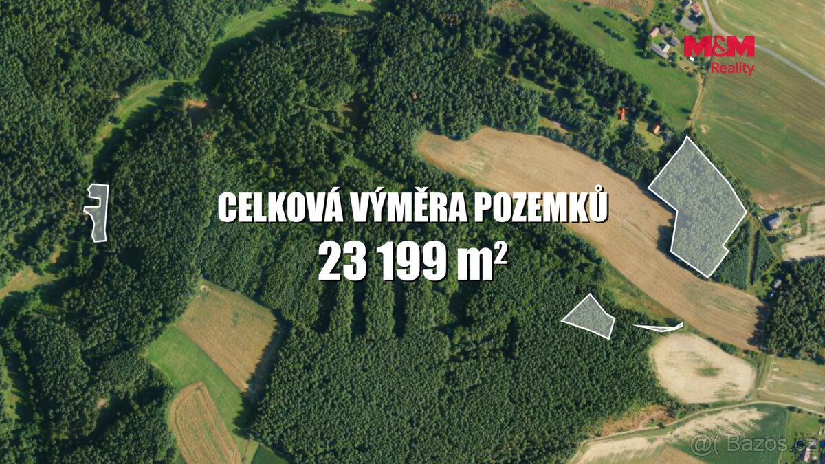 Prodej lesa, 23199 m², Všelibice