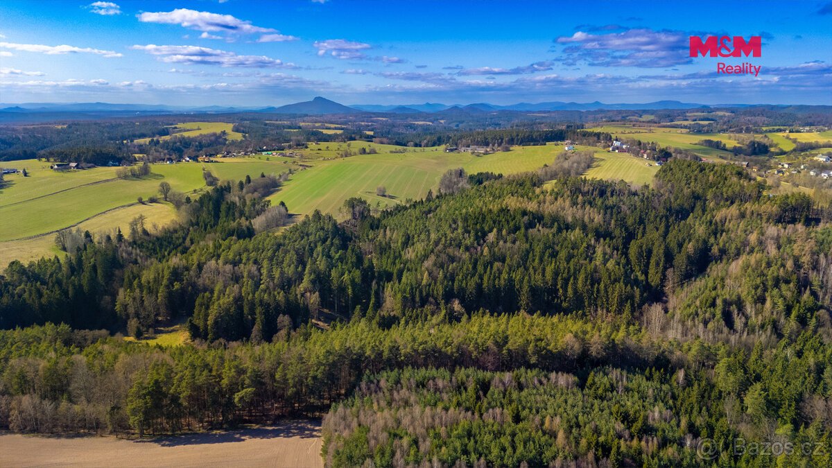 Prodej lesa, 23199 m², Všelibice
