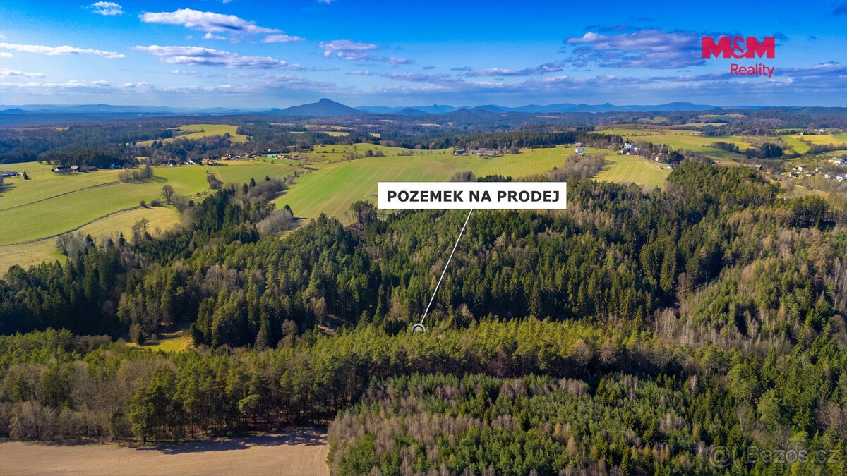 Prodej lesa, 23199 m², Všelibice