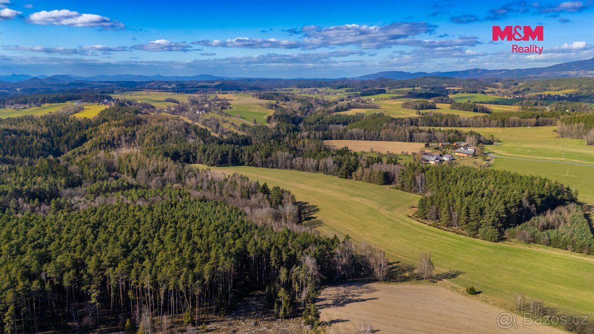 Prodej lesa, 23199 m², Všelibice