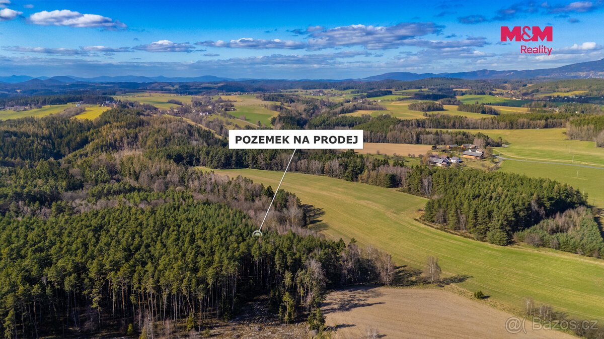 Prodej lesa, 23199 m², Všelibice