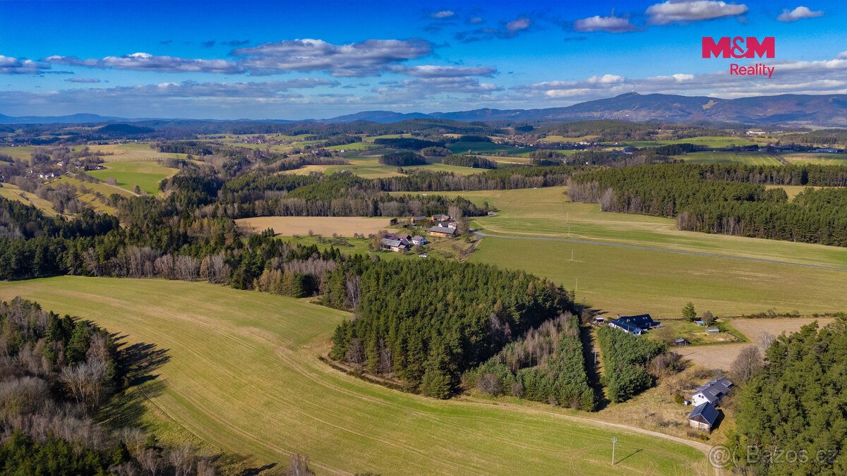 Prodej lesa, 23199 m², Všelibice