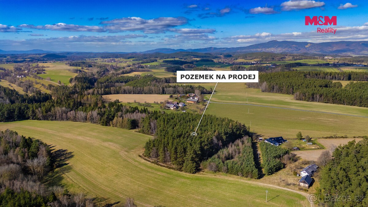 Prodej lesa, 23199 m², Všelibice