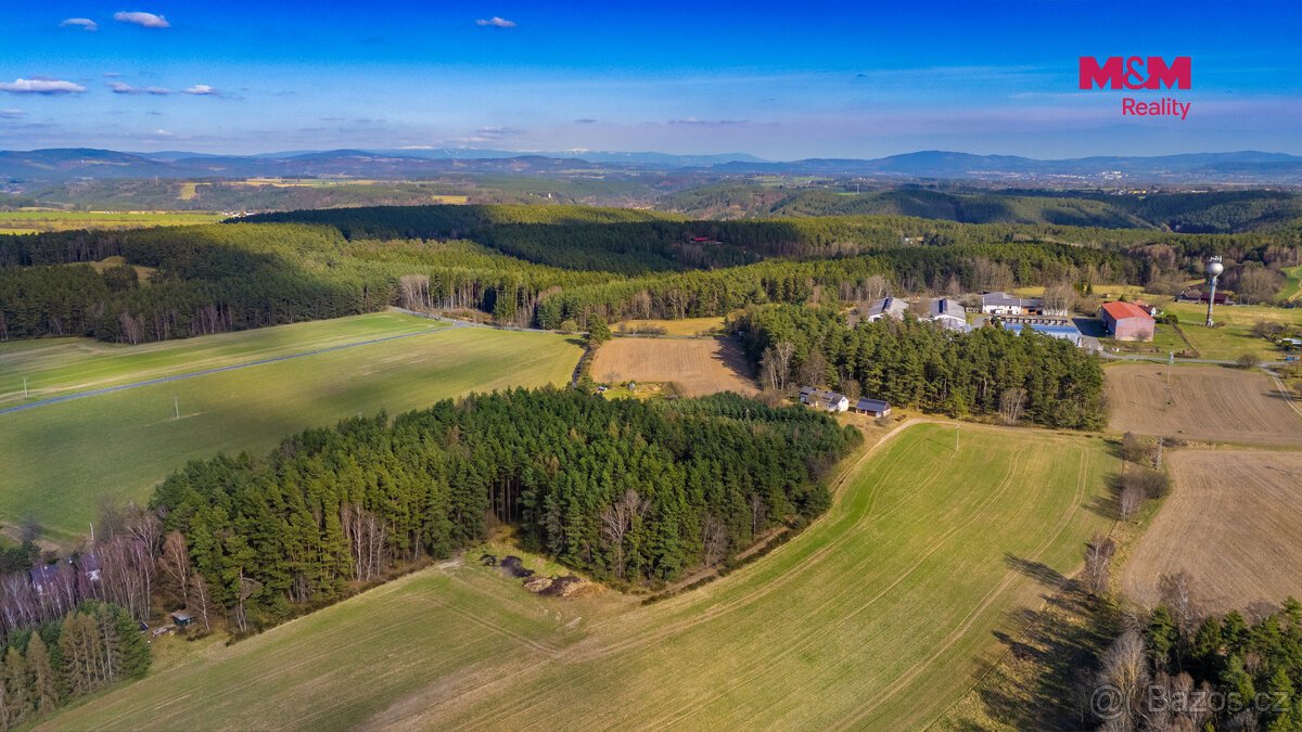Prodej lesa, 23199 m², Všelibice