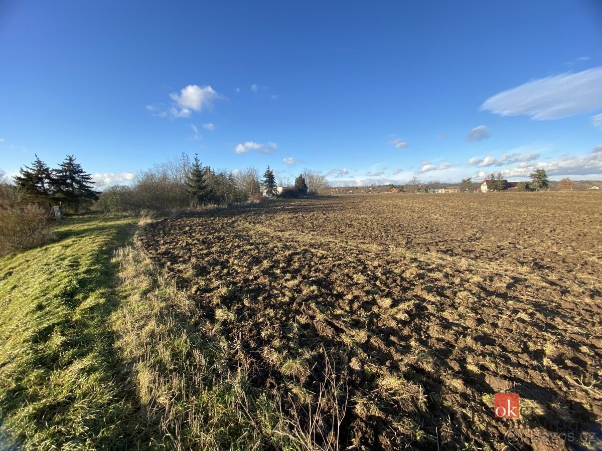 Prodej, pozemky/bydlení, 6022 m2, Bezděkov , Žatec, Louny [I