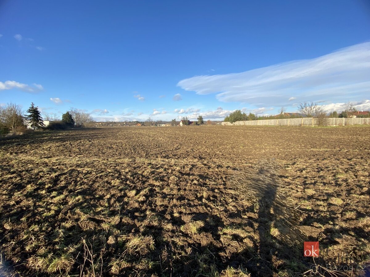 Prodej, pozemky/bydlení, 6022 m2, Bezděkov , Žatec, Louny [I
