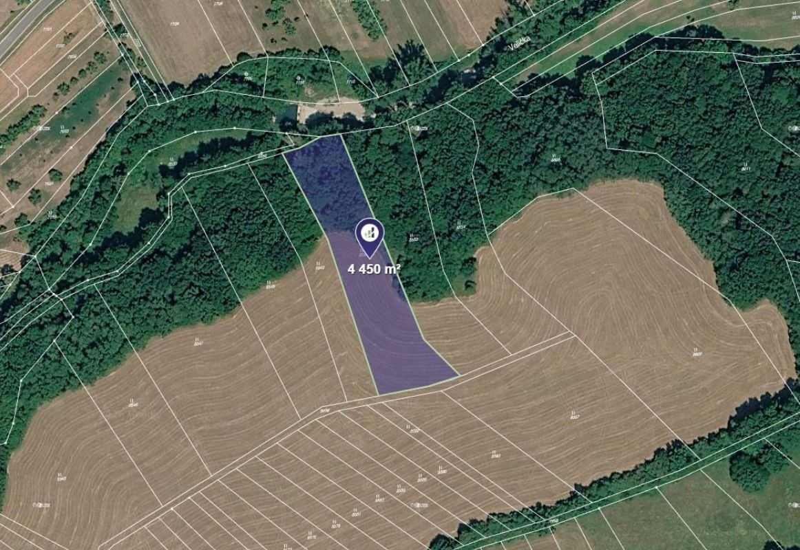 Prodej podílu 1/4 louky 1 113 m², Javorník