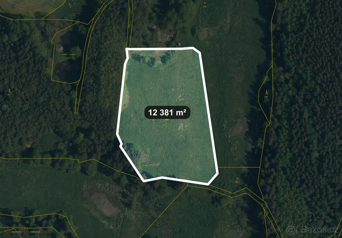 Prodej zemědělská půda, 12 381 m² - Lom u Tachova
