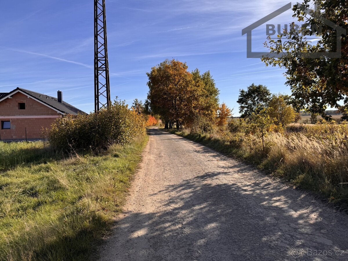 Prodej stavebního pozemku 10 360 m² - Bor, ev.č. LB02025