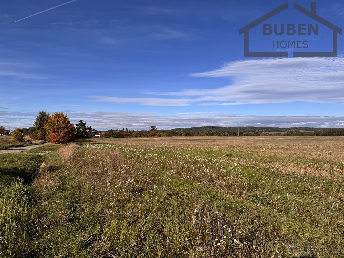 Prodej stavebního pozemku 10 360 m² - Bor, ev.č. LB02025