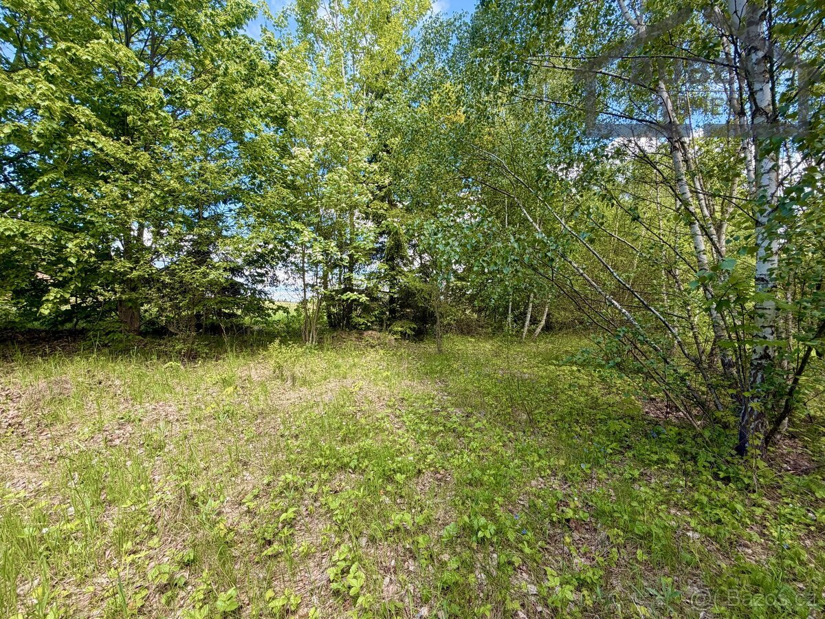 Stavební pozemek 435 m², Lestkov - Domaslav, ev.č. LB01526