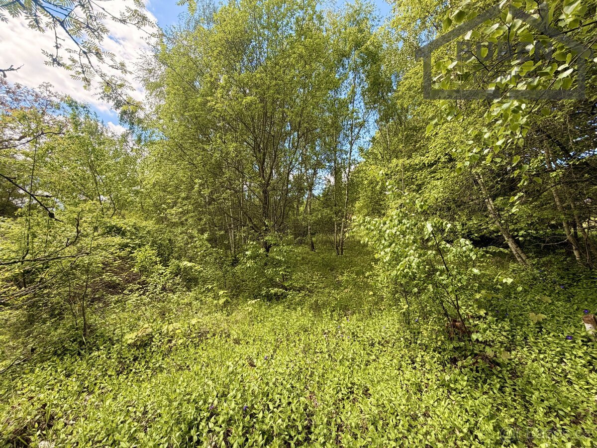 Stavební pozemek 435 m², Lestkov - Domaslav, ev.č. LB01526