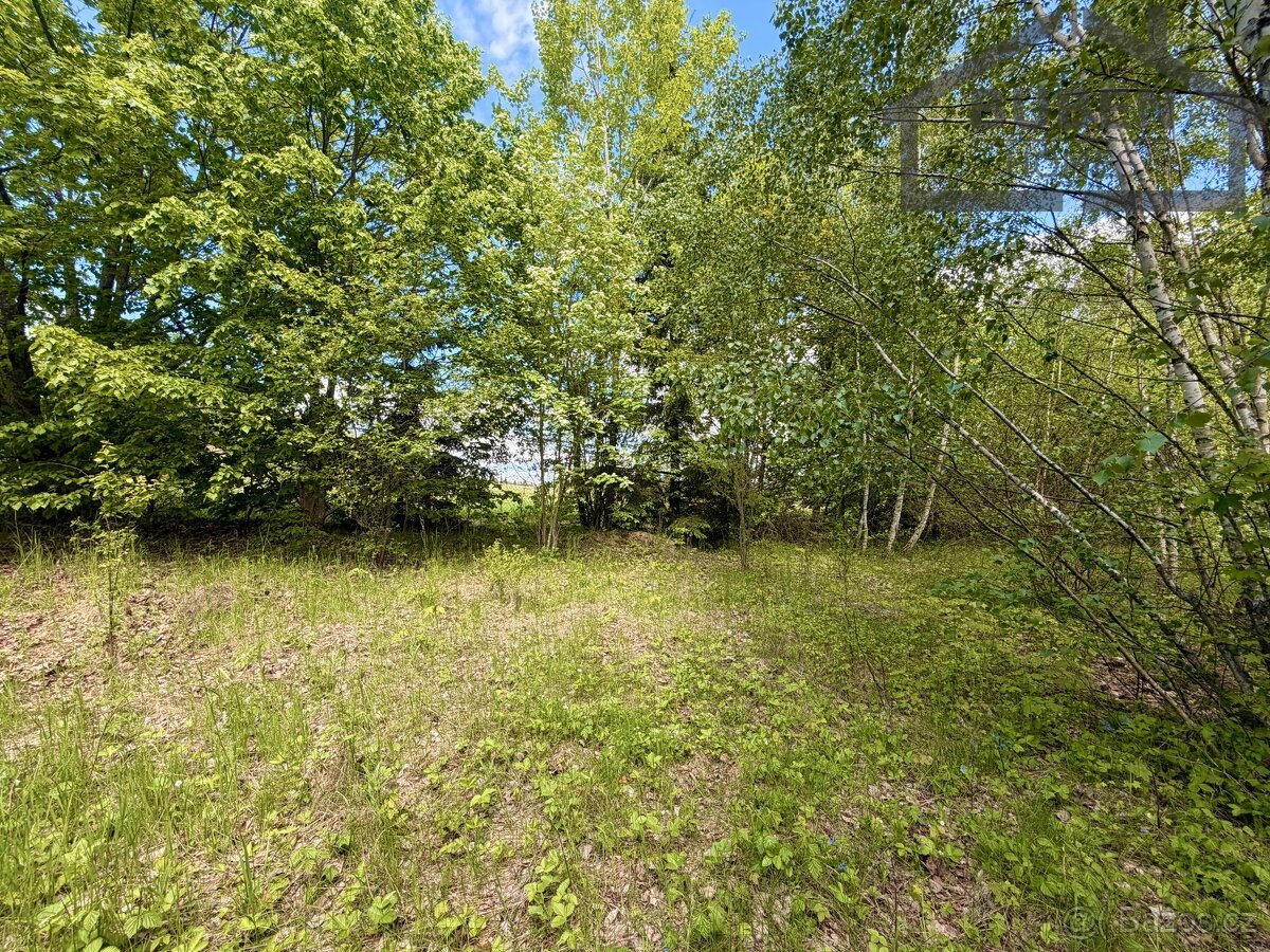 Stavební pozemek 435 m², Lestkov - Domaslav, ev.č. LB01526